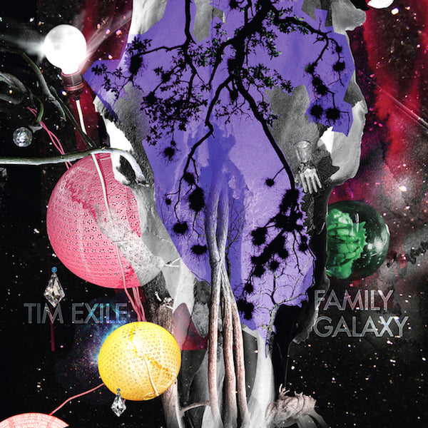 Family Galaxy 12" (Vinyl) - Golden Apple Comics