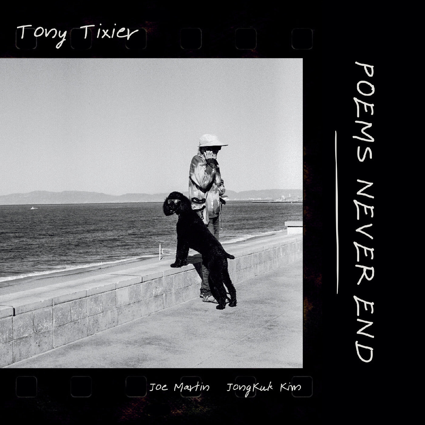 Poems Never End (Vinyl)