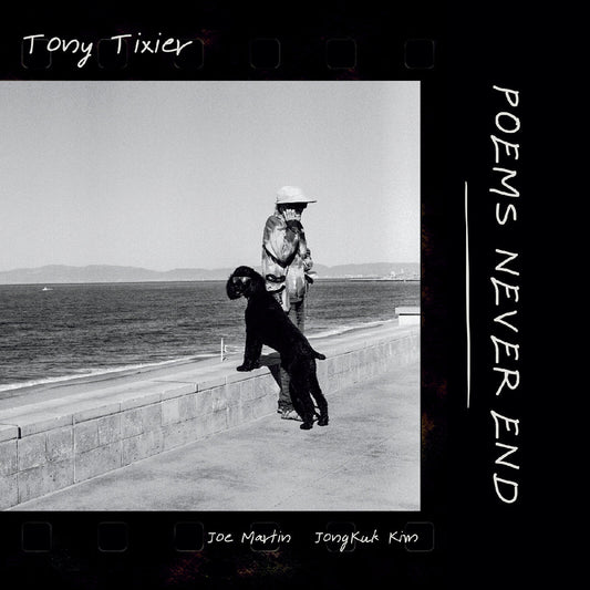 Poems Never End (Vinyl)