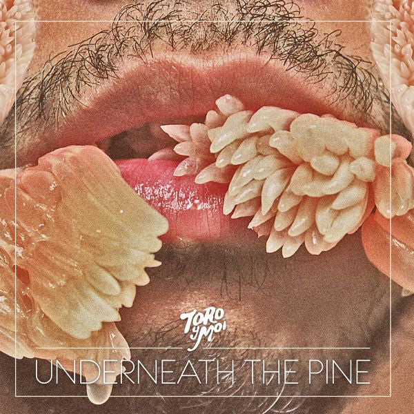 Underneath The Pine (CD) - Golden Apple Comics