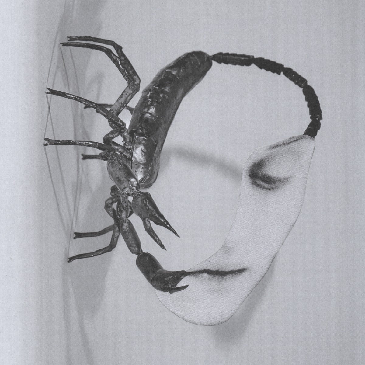 Touch [140 Gram Black Vinyl] (Vinyl)