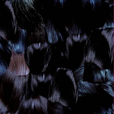 GYU (Vinyl)