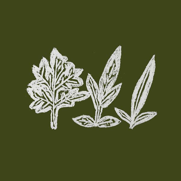 Variations of Weeds (CD)