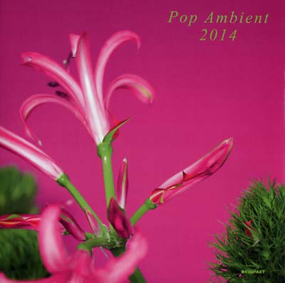 Pop Ambient 2014 (CD)