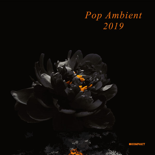 Pop Ambient 2019 (Vinyl)