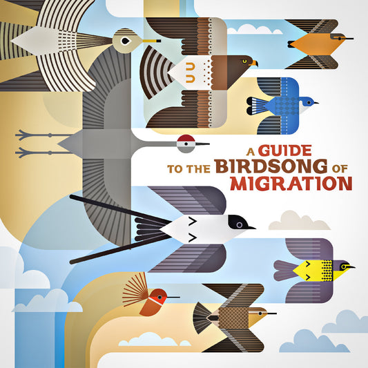 A Guide To The Birdsong Of Migration (Vinyl)