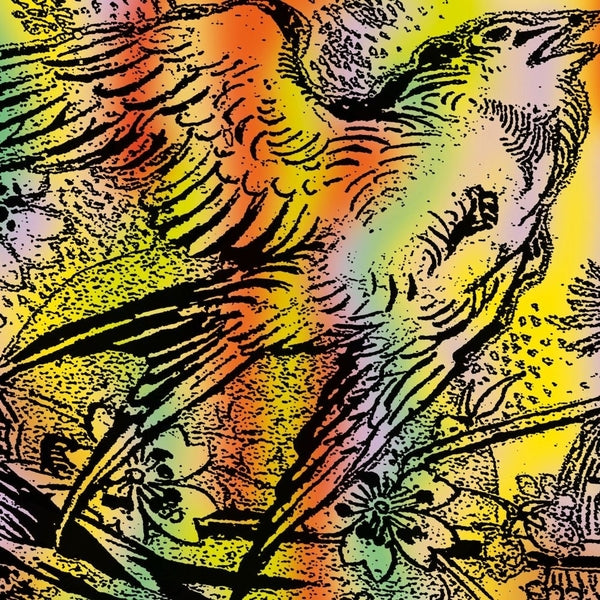 One Swallow Doesn'T Make A Summer Part 7 (Vinyl)