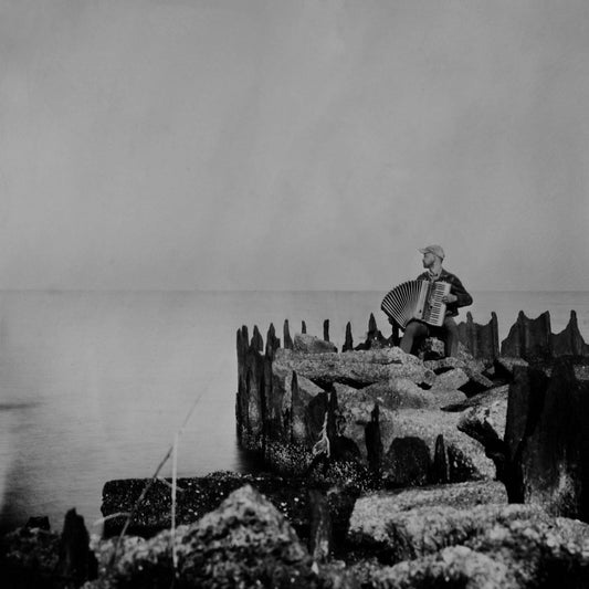 A Hole In The Fence (Vinyl)