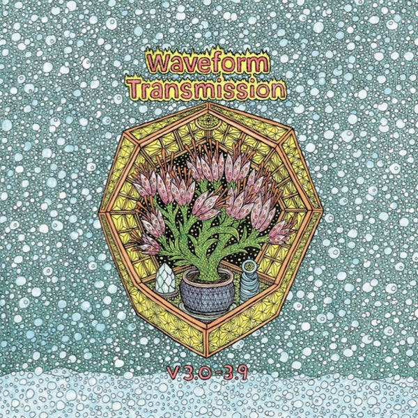 V 3.0-3.9 (Vinyl)