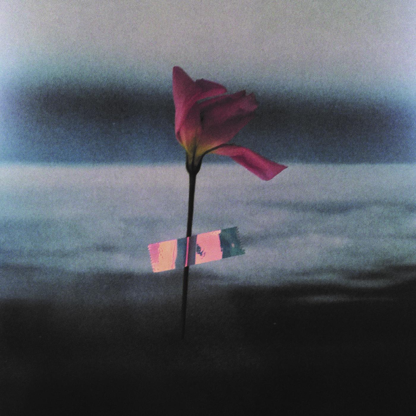 Paralanguage (CD)