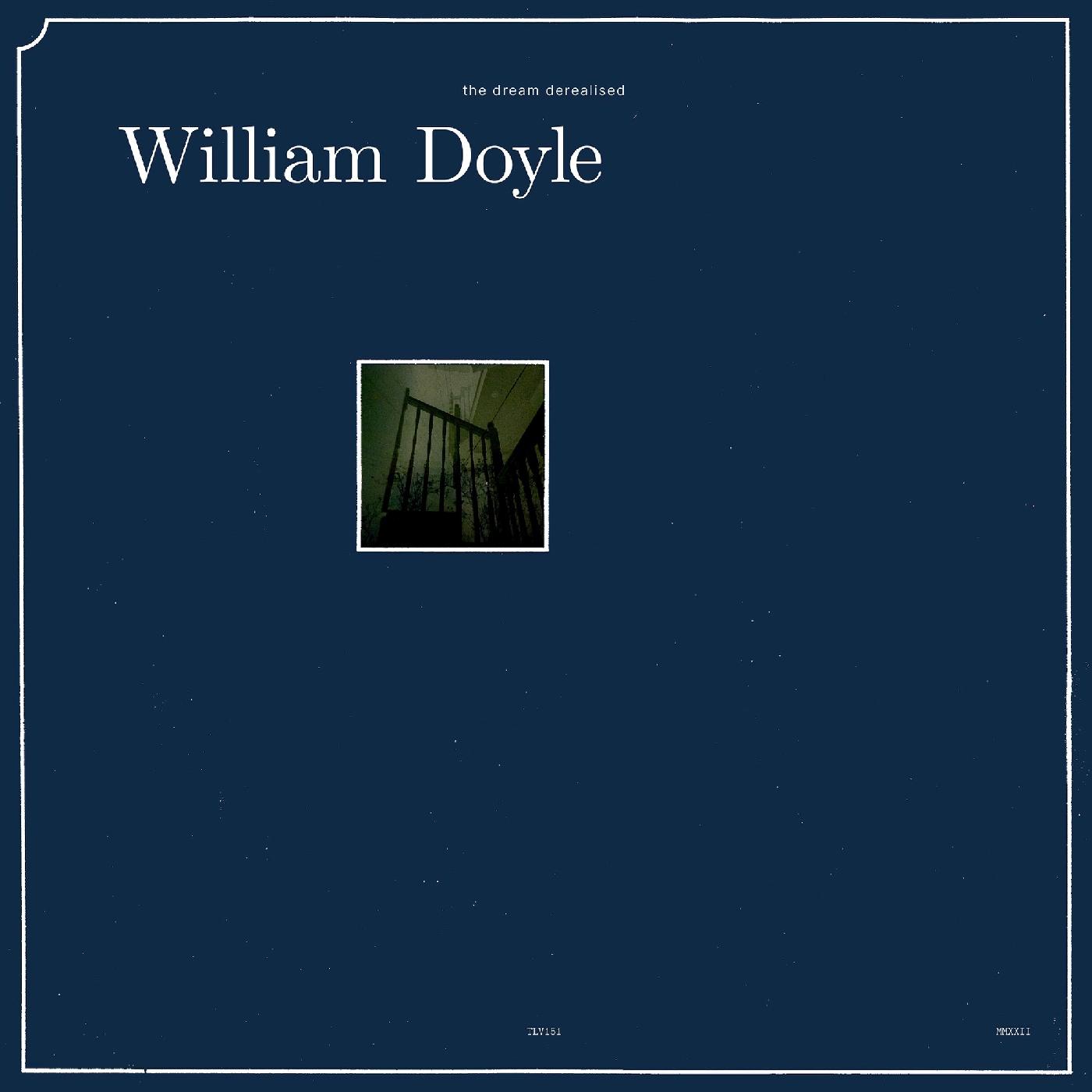 The Dream Derealised (Vinyl)