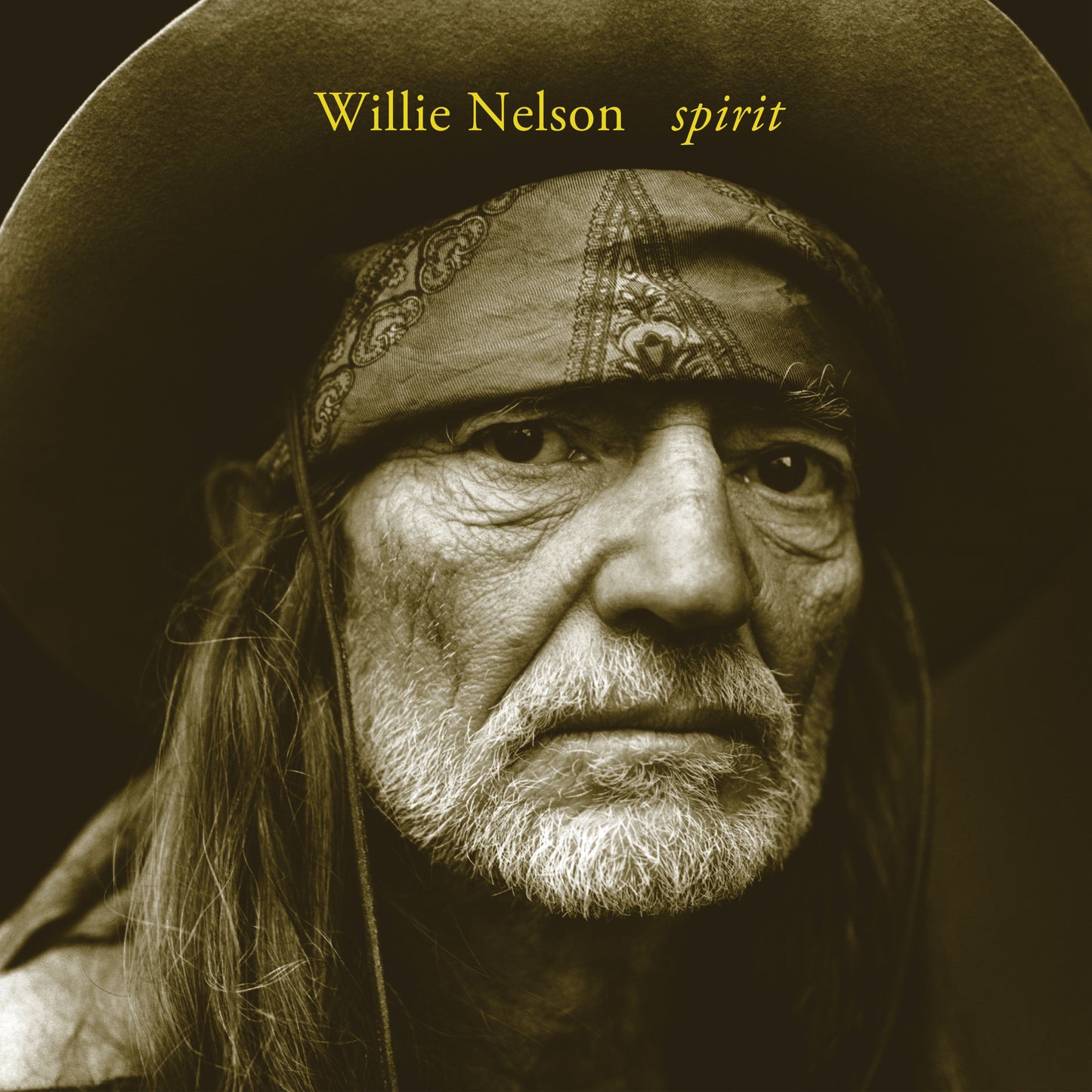 Willie Nelson Spirit [LP] [Vinyl]