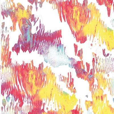 Pass Hidingly Seek (Vinyl)