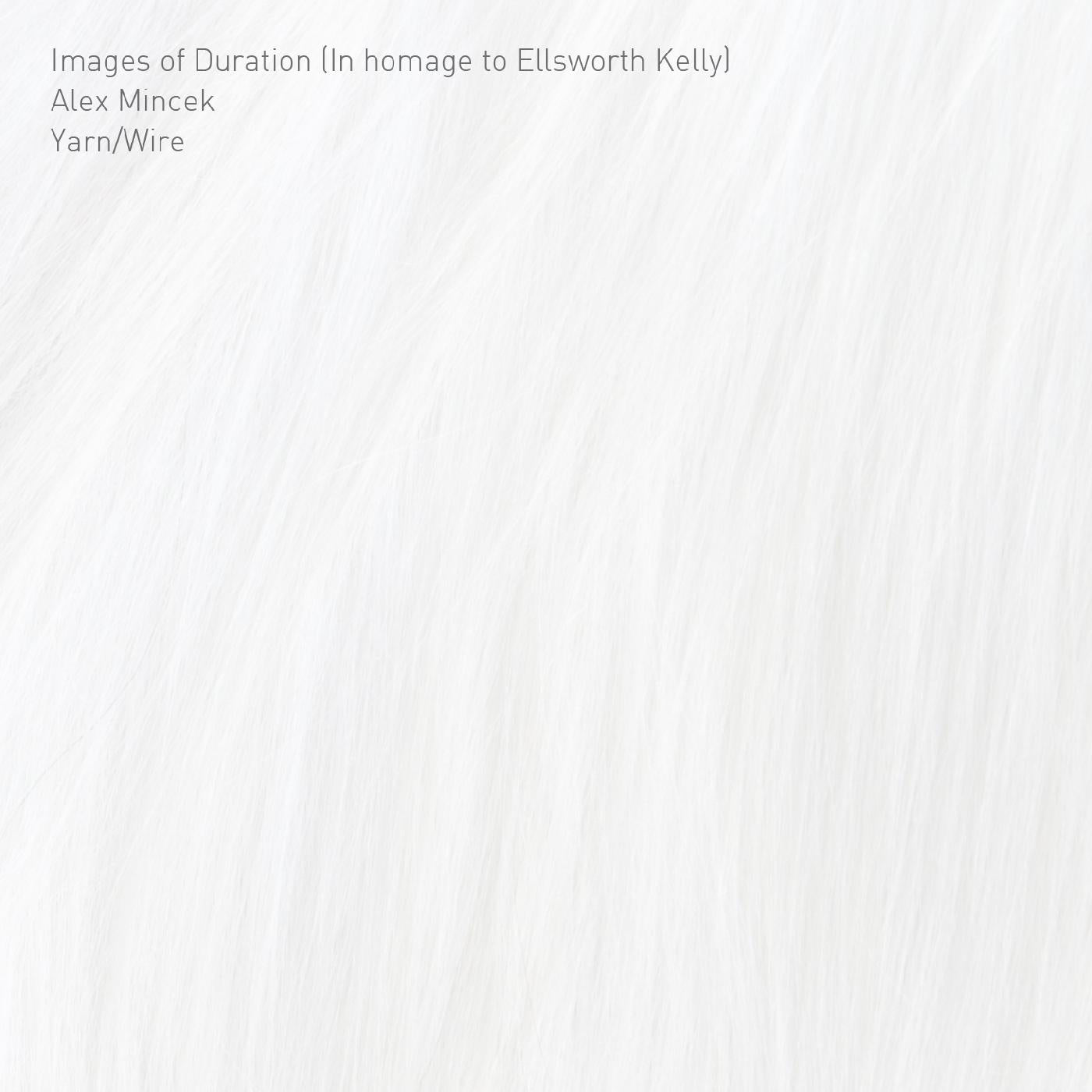 Images of Duration (In homage to Ellsworth Kelly) (CD)