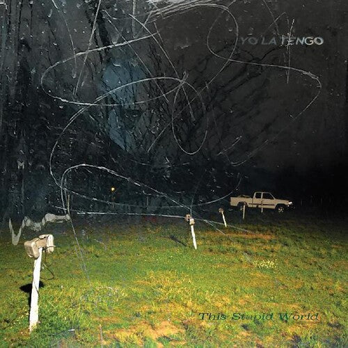This Stupid World (2 Lp's) (Vinyl)