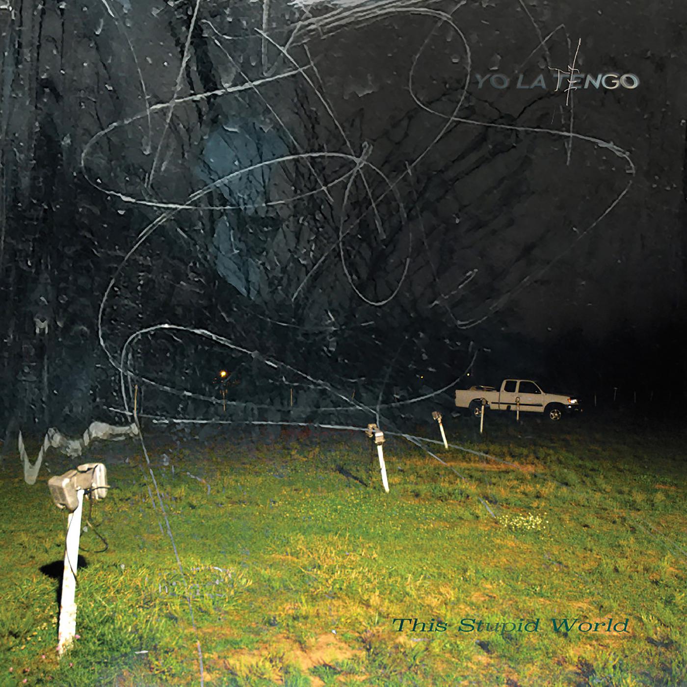 This Stupid World (CD)
