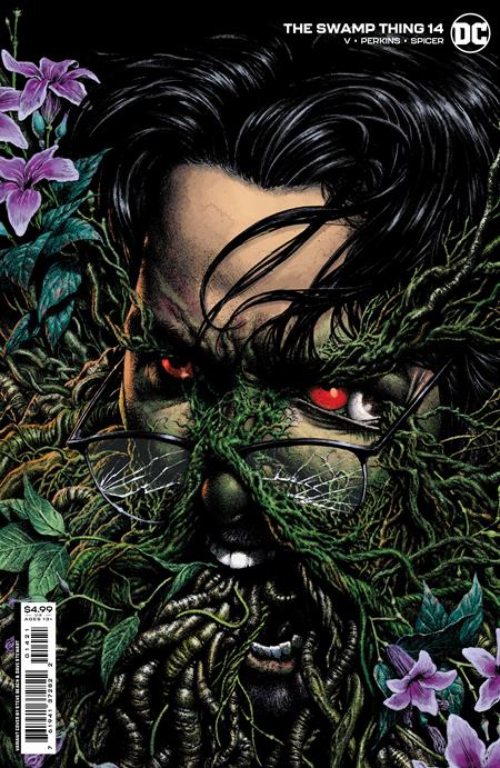 Swamp Thing #14 (Of 16) B Steve Beach Card Stock Variant (06/28/2022) Dc