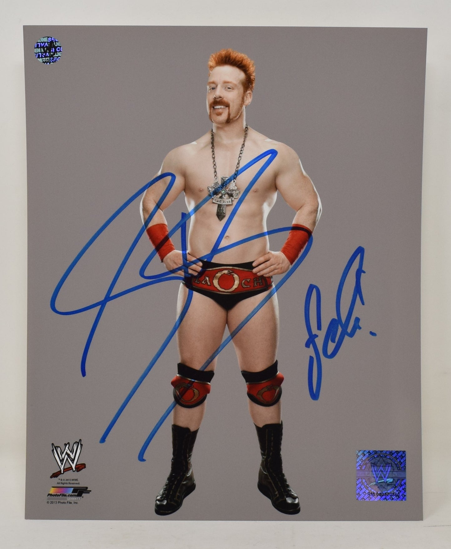 Sheamus WWE WWF Wrestling Signed Autograph 8 x 10 Photo COA