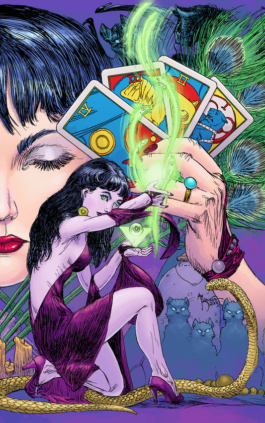 Madame Xanadu #14 (Mr) 2Nd Series DC 2009 Matt Wagner Michael Kaluta